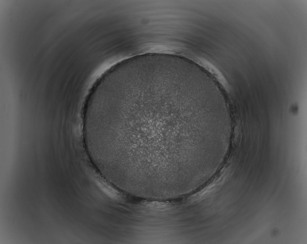 X0000102351027200808081150