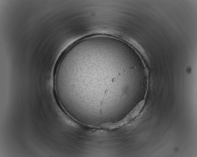 X0000102351028200808081150