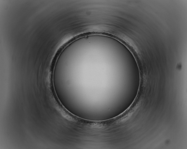 X0000102351029200808081150