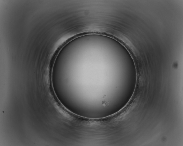 X0000102351030200808081150