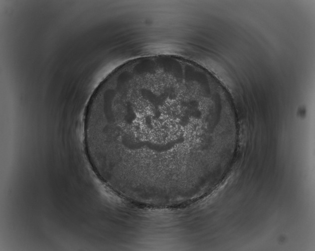 X0000102351031200808081150