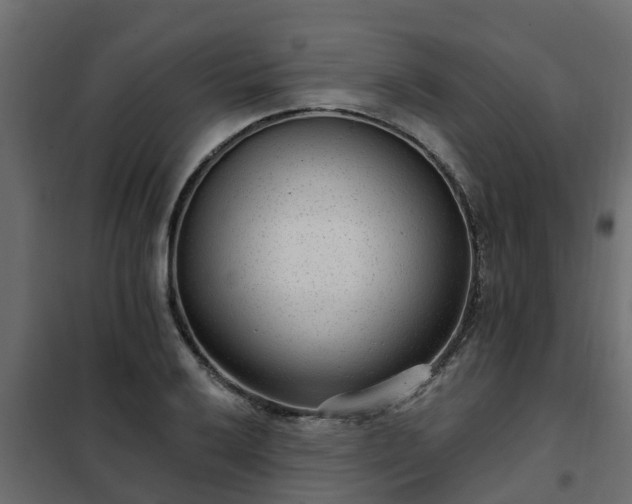 X0000102351032200808081150