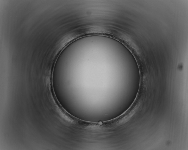 X0000102351033200808081150