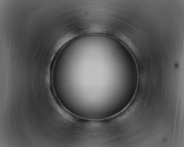 X0000102351034200808081150