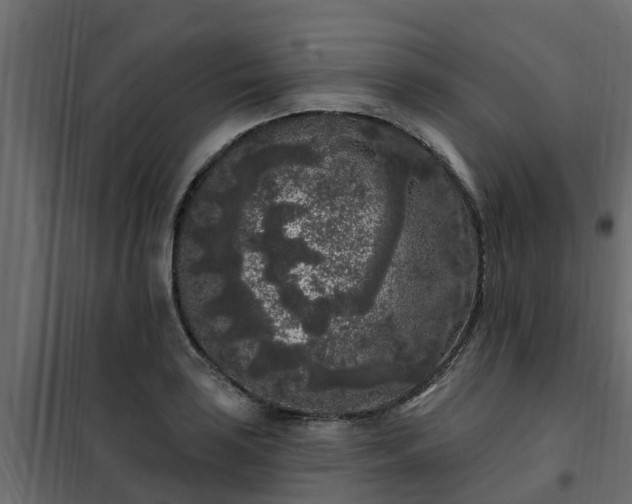 X0000102351035200808081150