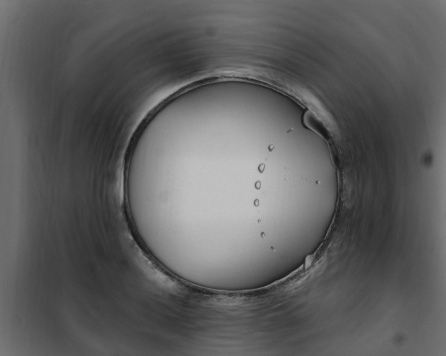 X0000102351036200808081150