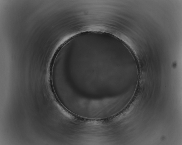 X0000102351037200808081150