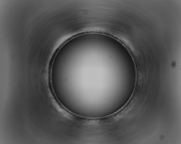 X0000102351038200808081150