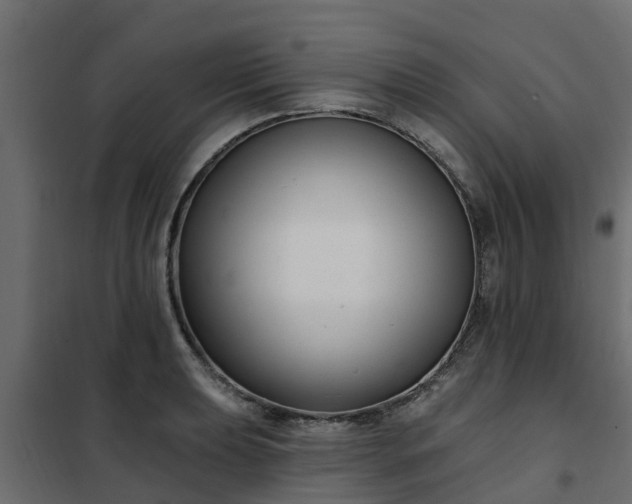 X0000102351039200808081150