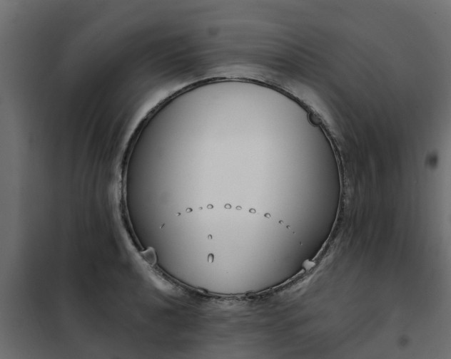 X0000102351040200808081150