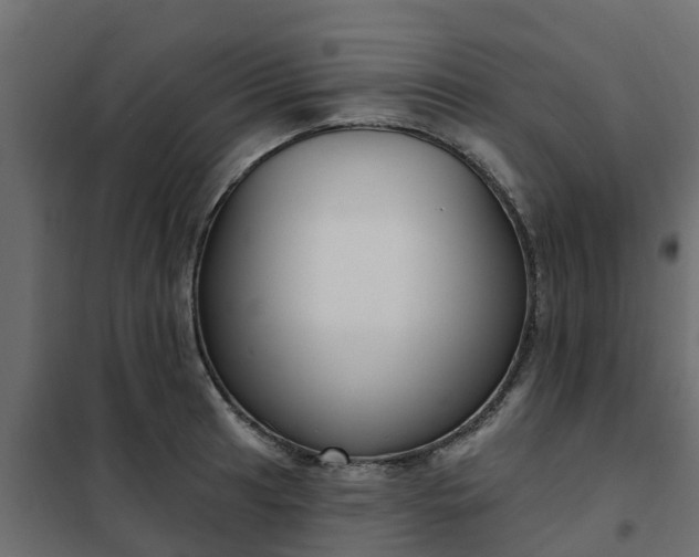 X0000102351041200808081150