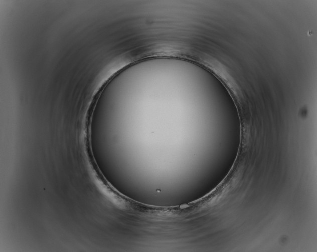 X0000102351042200808081150