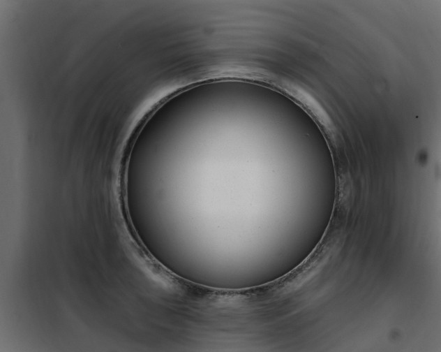 X0000102351043200808081150