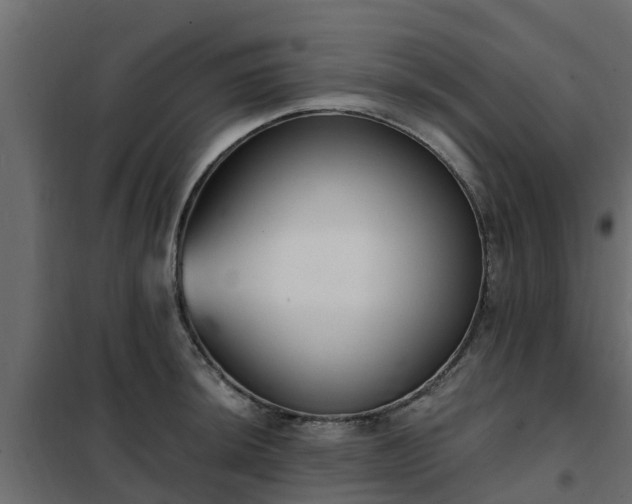 X0000102351044200808081150