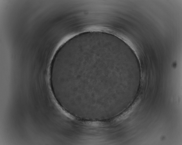 X0000102351045200808081150