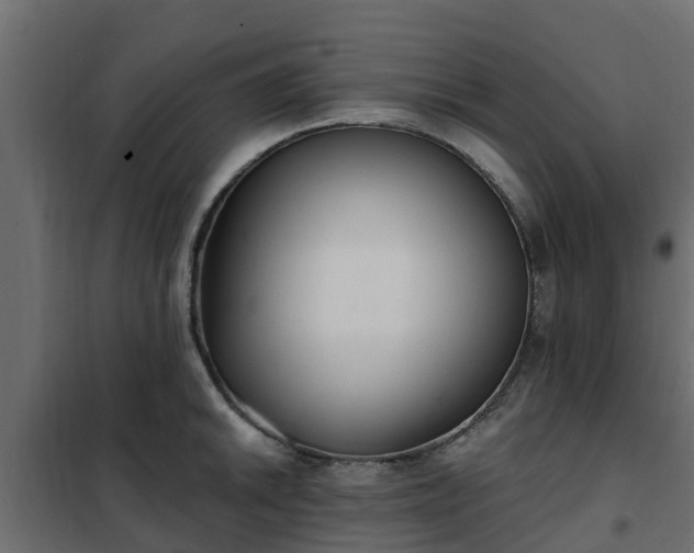 X0000102351046200808081150