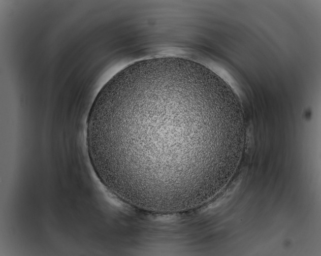 X0000102351047200808081150