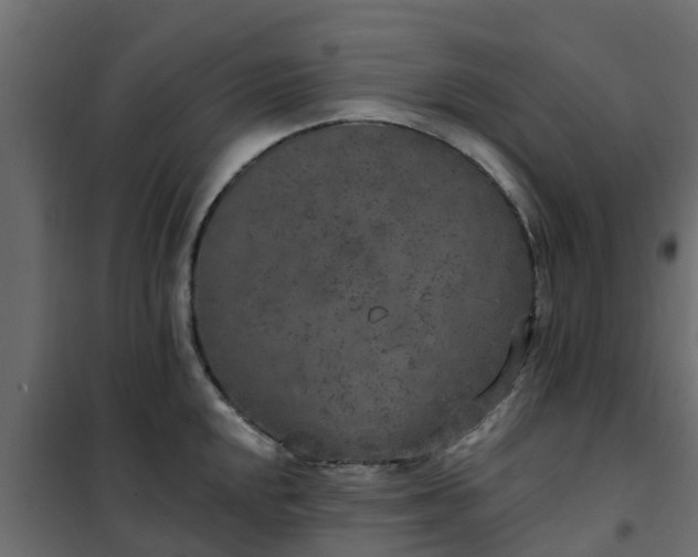 X0000102351048200808081150