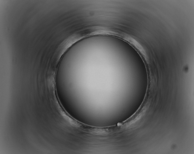 X0000102351049200808081150