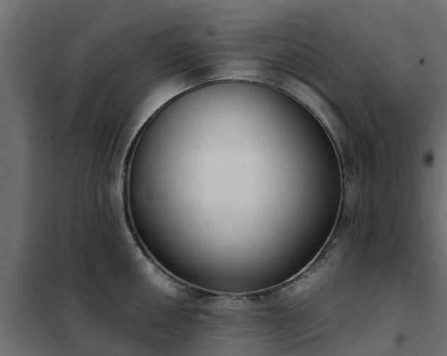 X0000102351050200808081150