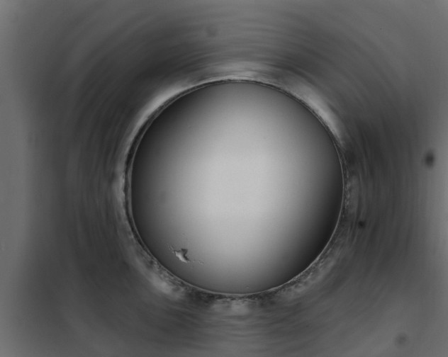 X0000102351051200808081150