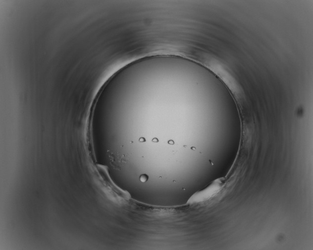 X0000102351052200808081150