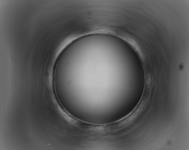 X0000102351054200808081150