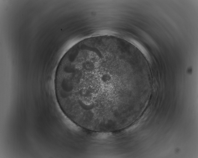 X0000102351055200808081150