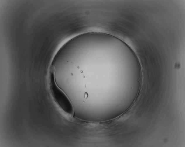 X0000102351056200808081150