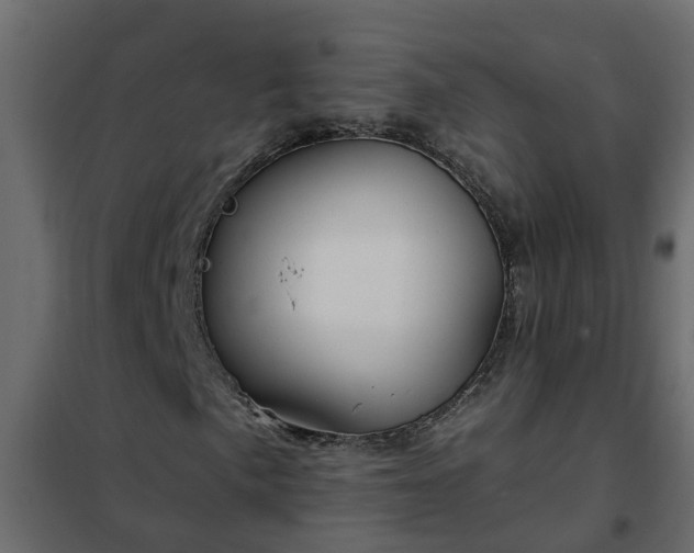 X0000102351057200808081149