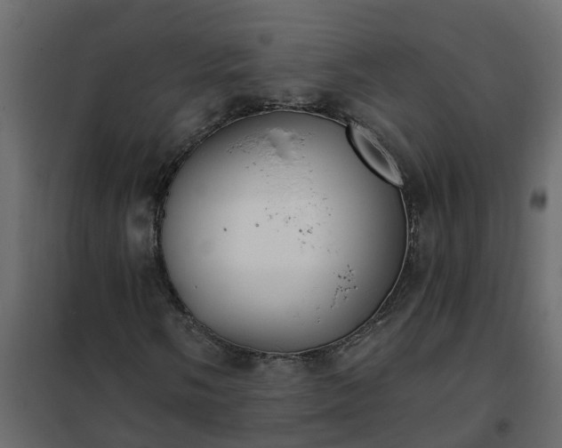 X0000102351058200808081149