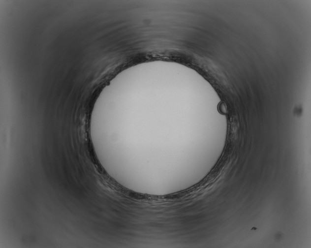 X0000102351060200808081149