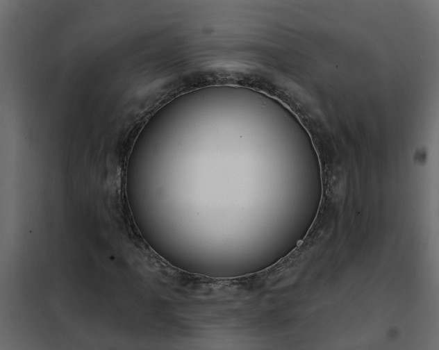 X0000102351061200808081149