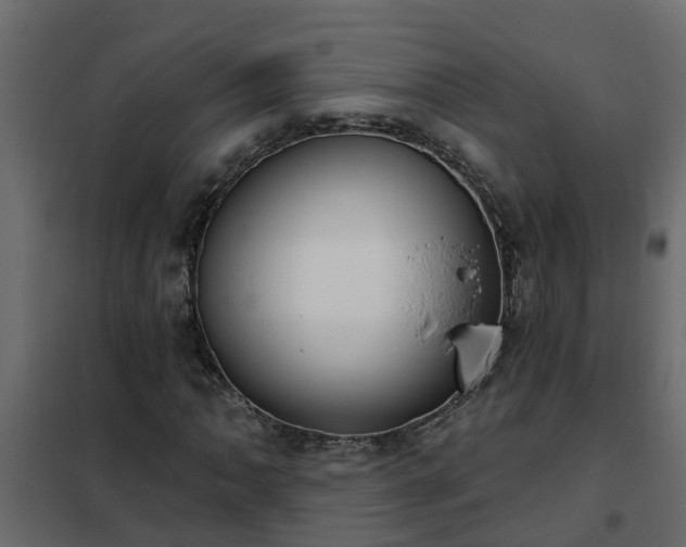 X0000102351062200808081149