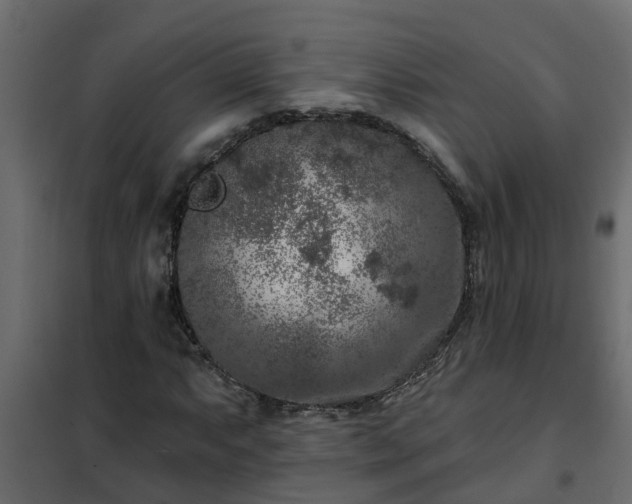 X0000102351063200808081149