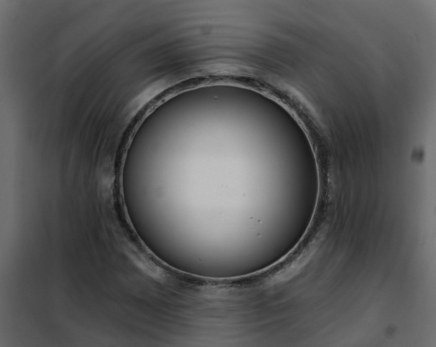 X0000102351065200808081149