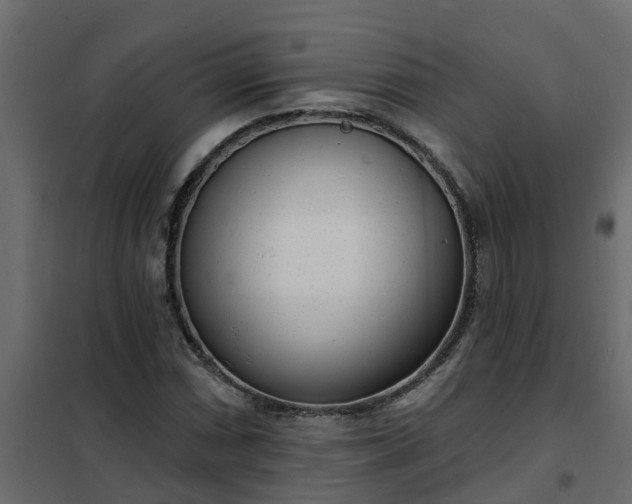 X0000102351066200808081149