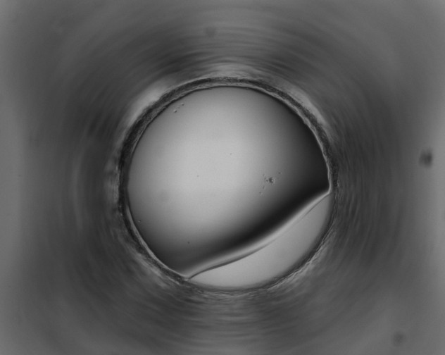 X0000102351067200808081149