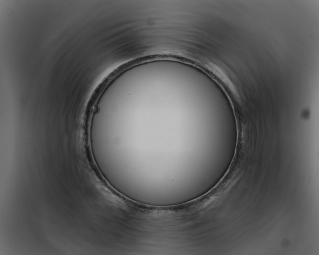 X0000102351068200808081149