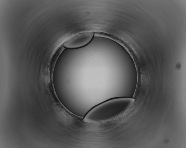 X0000102351069200808081149