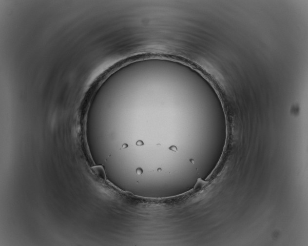 X0000102351070200808081149