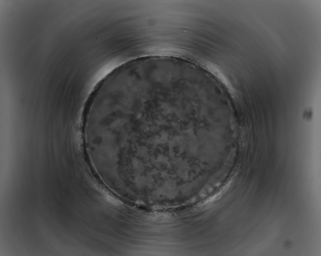 X0000102351071200808081149