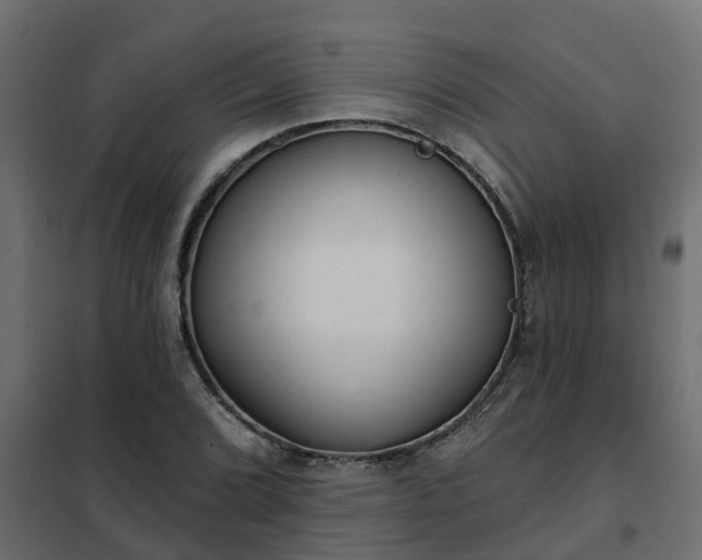 X0000102351072200808081149