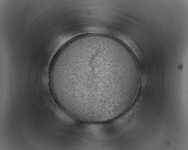 X0000102351074200808081149