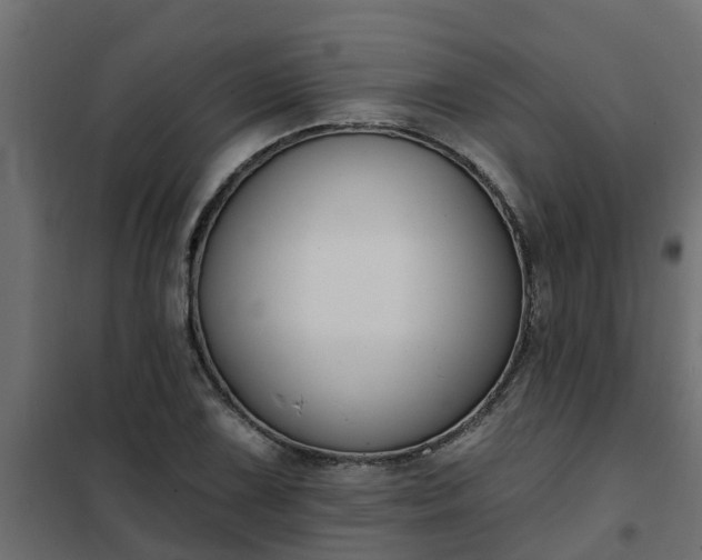 X0000102351075200808081149