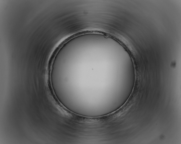 X0000102351076200808081149