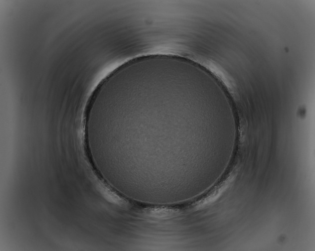 X0000102351077200808081149