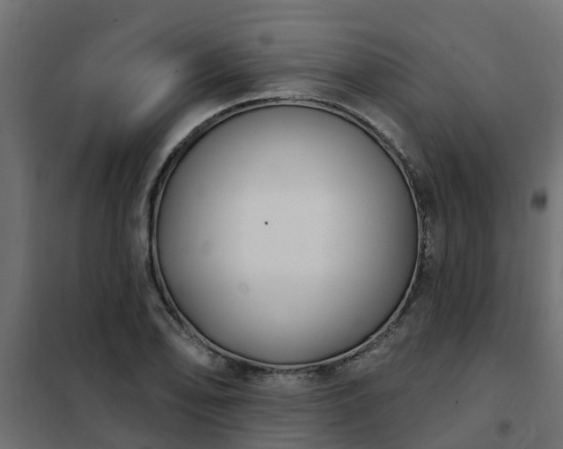 X0000102351078200808081149