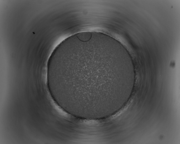 X0000102351079200808081149