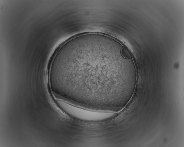 X0000102351080200808081149